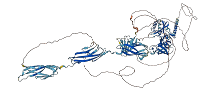 KIAA0319L 3D structure