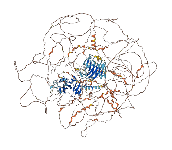 COL27A1 3D structure