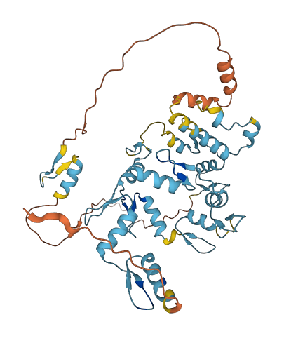 ZNF101 3D structure