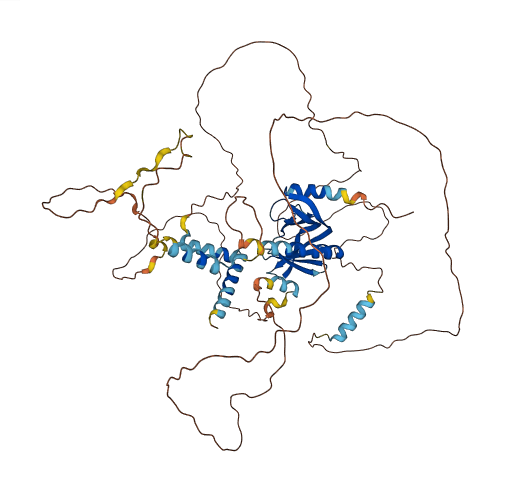 DCP1B 3D structure