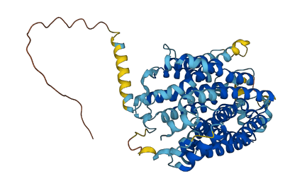 SLC22A15 3D structure