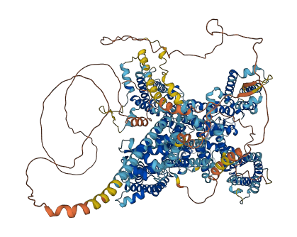 NALCN 3D structure