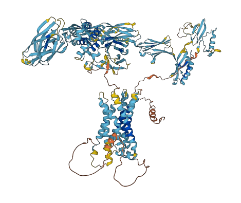 ADGRF5 3D structure