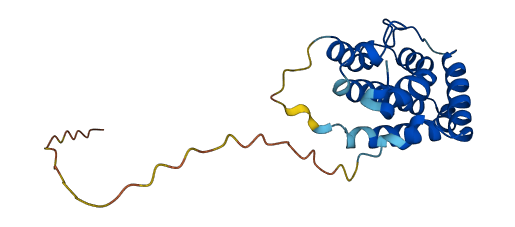IFNL2 3D structure