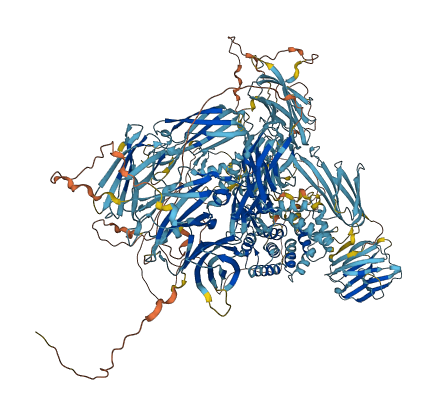 CPAMD8 3D structure