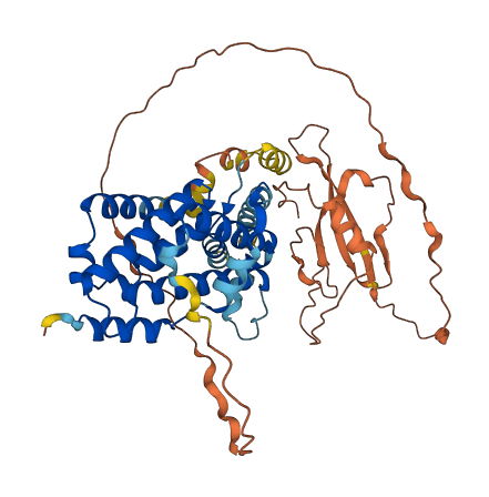 RGL4 3D structure