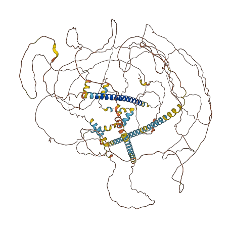 MAML2 3D structure