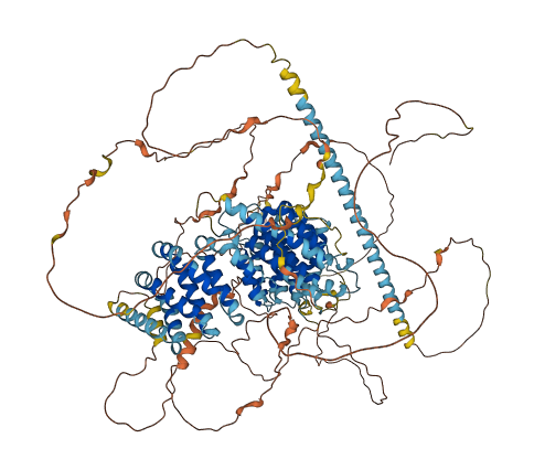PELP1 3D structure