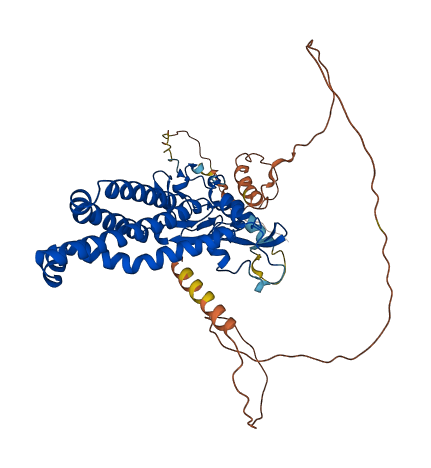 ZDHHC14 3D structure