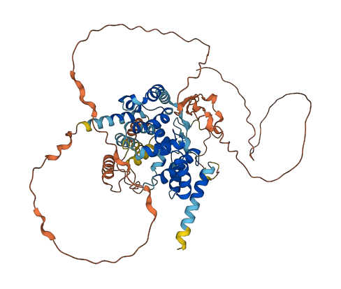 TBC1D3 3D structure