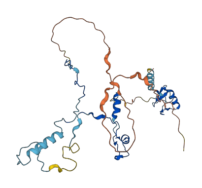RNF113B 3D structure