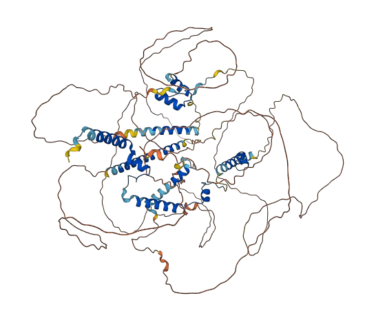 MYOCD 3D structure