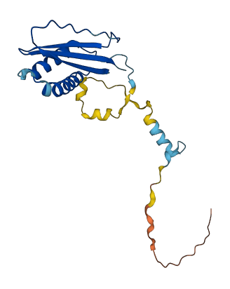 TCTE3 3D structure