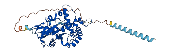 HS3ST5 3D structure