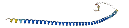 FAM9B 3D structure