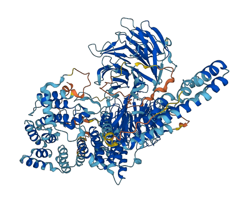 WDR17 3D structure
