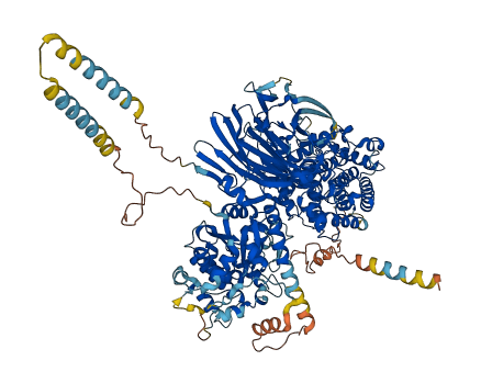 DSEL 3D structure