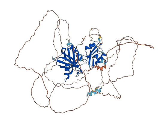 TNS4 3D structure
