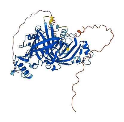 APCDD1 3D structure