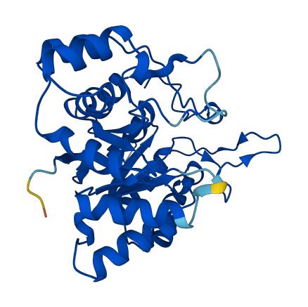 Akr1c18 3D structure