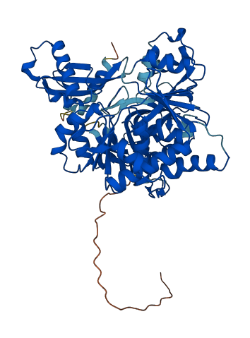 Acsm2 3D structure