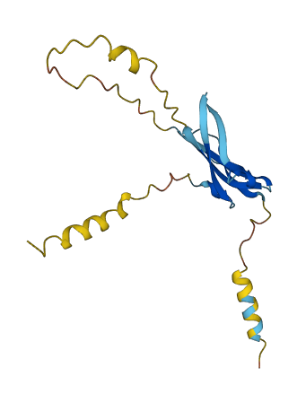 Ly6g6e 3D structure