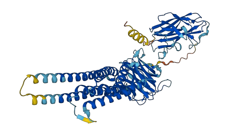 FRRS1 3D structure