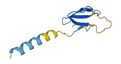 Defb19 3D structure