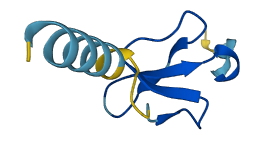 Defb36 3D structure