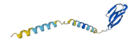 Retnlg 3D structure