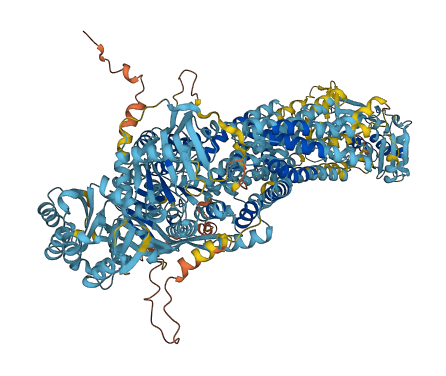Abca8a 3D structure