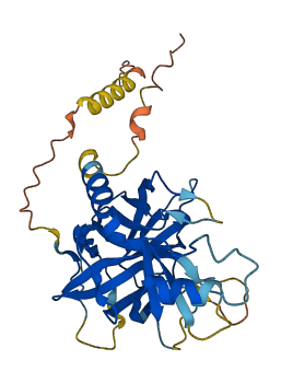 Prss45 3D structure