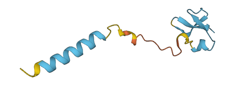 Defb12 3D structure