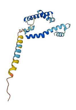 SLC7A5P1 3D structure