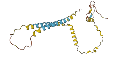 TMEM61 3D structure
