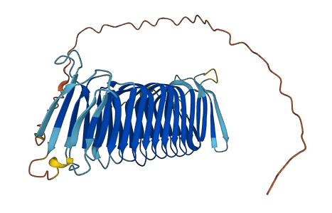 FAM185A 3D structure