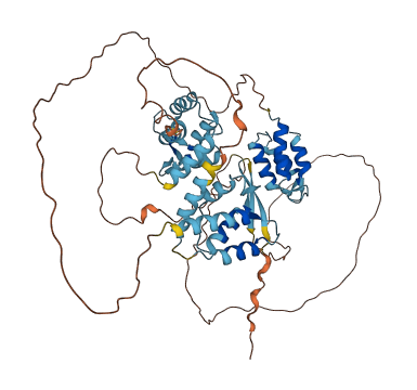 C1orf87 3D structure