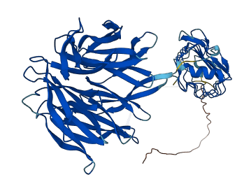 LGI2 3D structure