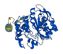 GCNT2 3D structure