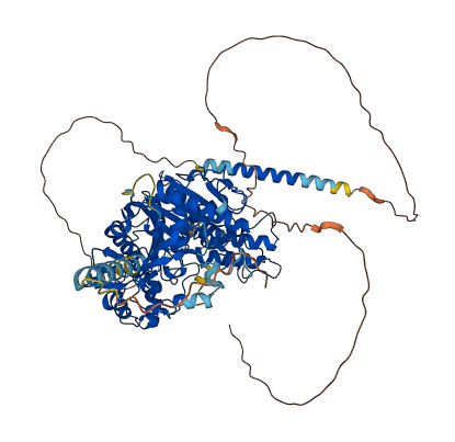 NLGN4X 3D structure