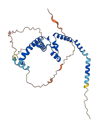 IQCK 3D structure