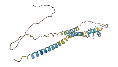 FMR1NB 3D structure