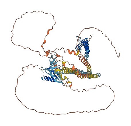 SPART 3D structure
