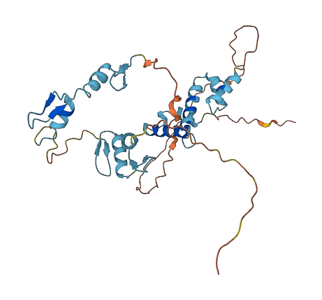 ZNF444 3D structure