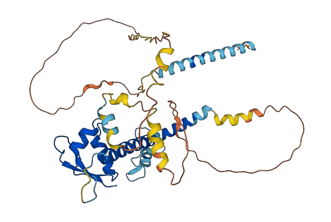 ABRA 3D structure