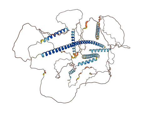 SPICE1 3D structure
