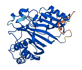 PUSL1 3D structure