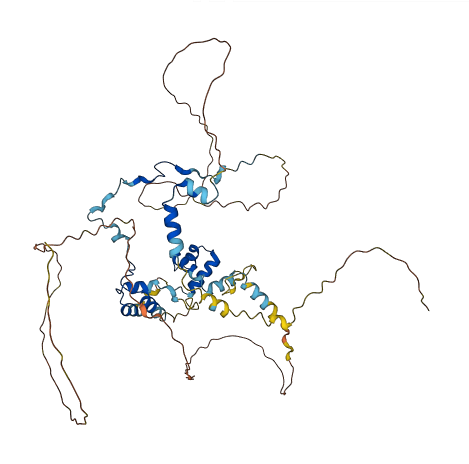 MIER1 3D structure