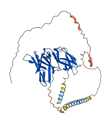 KIR2DL5A 3D structure