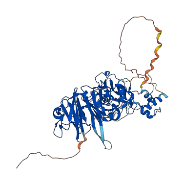 MMP21 3D structure